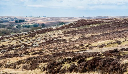 England - The North Yorkshire Moors - 6971